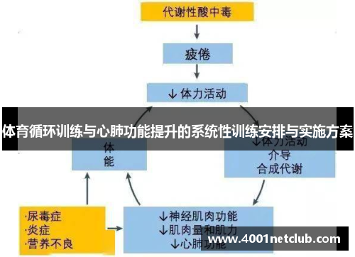 体育循环训练与心肺功能提升的系统性训练安排与实施方案